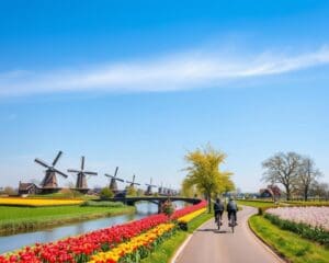 Les plus belles routes cyclables des Pays-Bas pour les cyclotouristes
