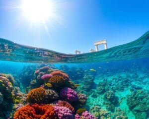 Plongée sous-marine dans les eaux cristallines de la Grèce