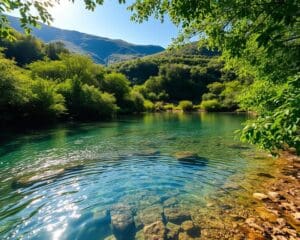 Cristaline: L’eau préférée des Français