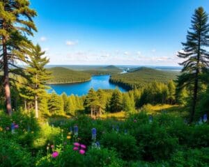 Les parcs naturels de Lituanie : pour les amoureux de la nature