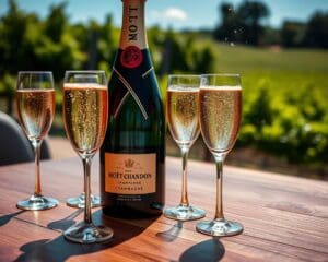 Moët & Chandon: Le secret des bulles parfaites