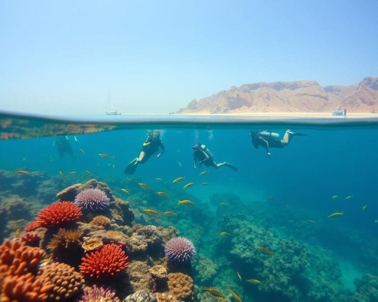 Est-ce que Hurghada convient aux plongeurs débutants ?