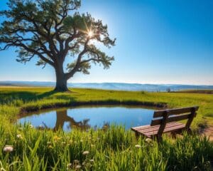 Quelles habitudes rendent la vie plus sereine ?